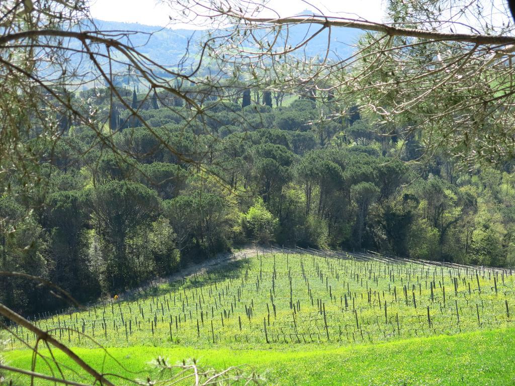 Agriturismo Il Palagetto Pomarance Exterior foto